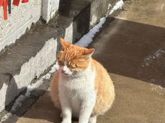 -终南山南五台景区