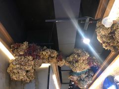 -快乐小羊(富强中路店)