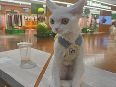 -Seesaw Coffee(上海虹桥天地店)