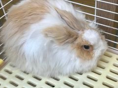 大堂-后海16号·北京私房菜