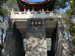 -青龙山国家森林公园