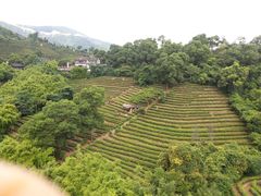 景点-东部华侨城