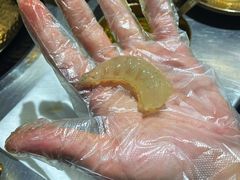 -琥珀川糟粕醋火锅(慈云寺店)