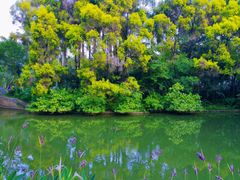 -人民公园(罗湖区)