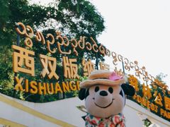 -西双版纳原始森林公园