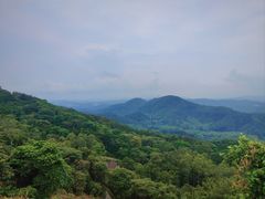 -黄埔油麻山森林公园