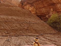 -天山神秘大峡谷