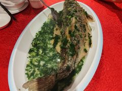 -粤北餐馆