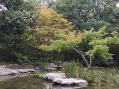 -上海滨江森林公园