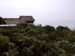 -亚龙湾热带天堂森林公园