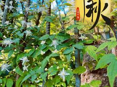 -红螺寺