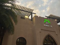 -海南椰子鸡餐厅(三亚湾红树林店)