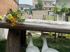 -HERRE·FARM 赫尔露营农场·团建聚会包场