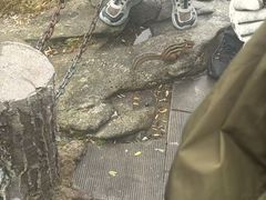 -少华山国家森林公园