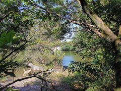 -水濂山森林公园