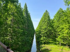 -黄海国家森林公园