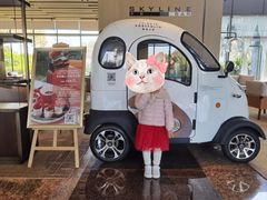 -上海佘山世茂艾美酒店
