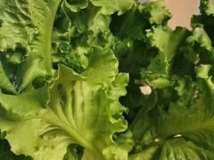 -泰润8号饭堂(闻喜路店)