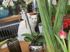 -卓花境Flowerwonderland花店