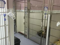 -美联众合动物医院·24h转诊中心