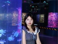 -重庆欢乐海底世界