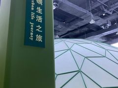 -中国杭州低碳科技馆