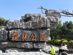 -通辽森林公园