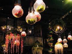 -胡桃里乐队酒馆(长春总店)