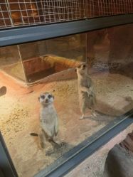 -酷嗒动物文化乐园(cutezoo西溪乐天城店)