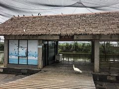 -鄱阳湖国家湿地公园