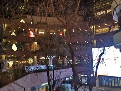 -瑞虹新天地月亮湾