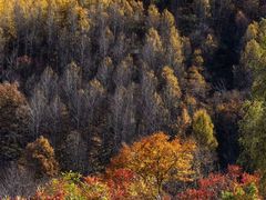 -玉渡山自然风景区