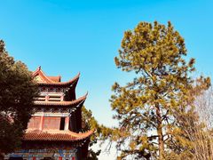 -开福禅寺