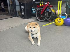 -VPsmart私教健身工作室(新华路旗舰店)