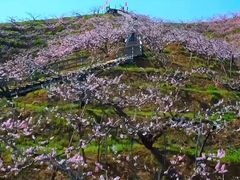 -河口景区