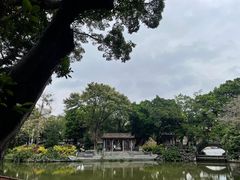 -荔湾湖公园