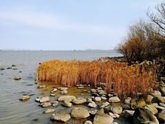 -上海吴淞炮台湾国家湿地公园