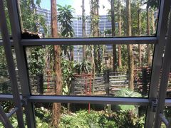 -吉隆坡国际机场