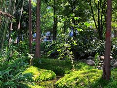 -成都市活水公园