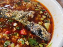 -金海椒罐罐鲢鱼(东方桂苑店)