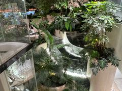 -陕西自然博物馆