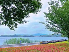 -石湖景区