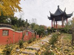-葛仙湖公园
