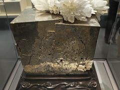 -安徽省地质博物馆