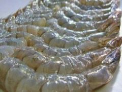 -蘭桂坊海鲜烧烤抖音网红餐厅