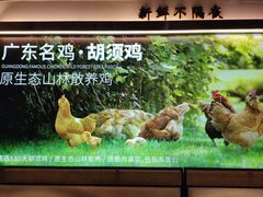-野·大山里野生菌石锅土鸡(益田假日店)