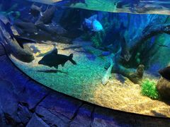 -沈阳海洋探索中心