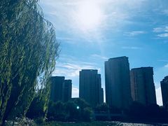 -新江湾城公园