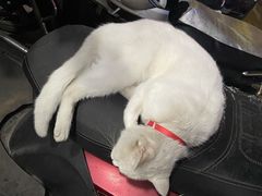 -无招牌