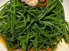 -蒙料·手把肉(望京店)